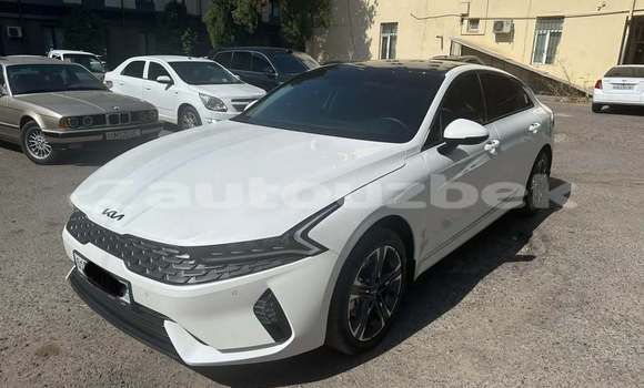 Buy Used Kia K5 White Car in Toskent in Toskent