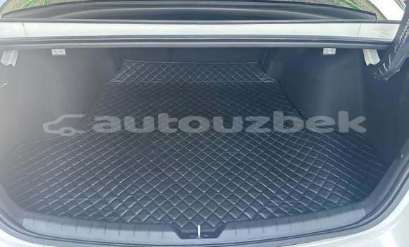 Buy Used Kia K5 White Car in Toskent in Toskent Buy Used Kia K5 White Car in Toskent in Toskent