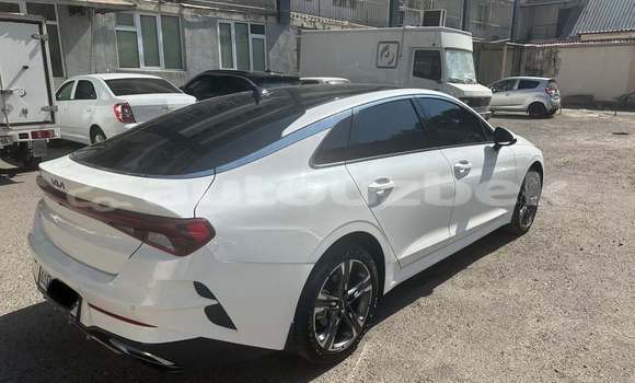 Buy Used Kia K5 White Car in Toskent in Toskent Buy Used Kia K5 White Car in Toskent in Toskent