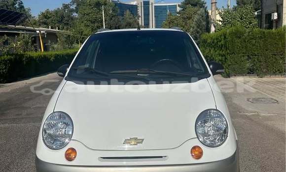 Buy Used Toyota Vitz White Car in Toskent in Toskent