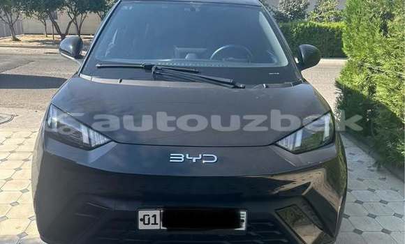 Buy Used BYD M6 Black Car in Toskent in Toskent