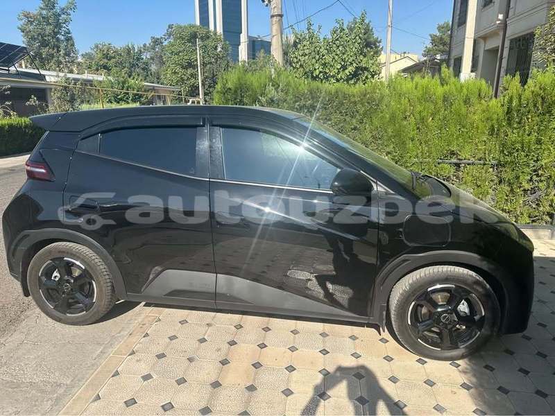 Big with watermark byd m6 toskent toskent 4852