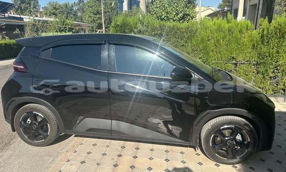 Buy Used BYD M6 Black Car in Toskent in Toskent Buy Used BYD M6 Black Car in Toskent in Toskent