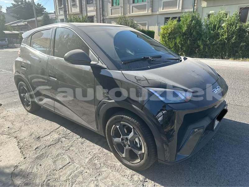 Big with watermark byd g3 toskent toskent 4853
