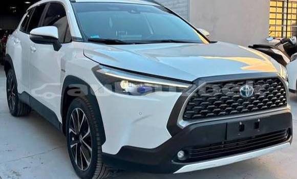 Buy Used Toyota Corolla Cross White Car in Beskent in Kaskadar Buy Used Toyota Corolla Cross White Car in Beskent in Kaskadar