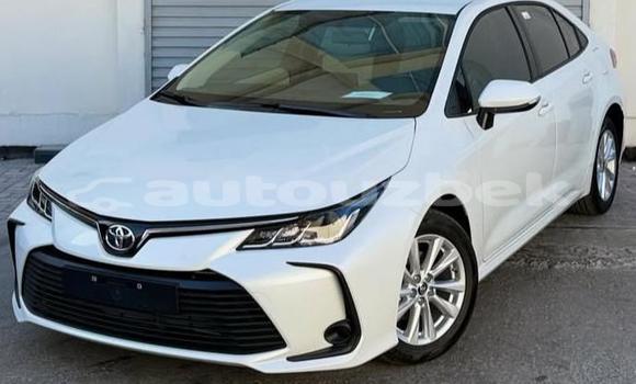 Buy Used Toyota Corolla White Car in Beskent in Kaskadar