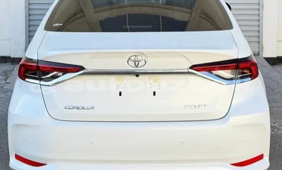 Buy Used Toyota Corolla White Car in Beskent in Kaskadar Buy Used Toyota Corolla White Car in Beskent in Kaskadar