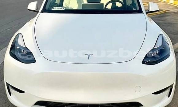 Buy Used Tesla Model X White Car in Beskent in Kaskadar