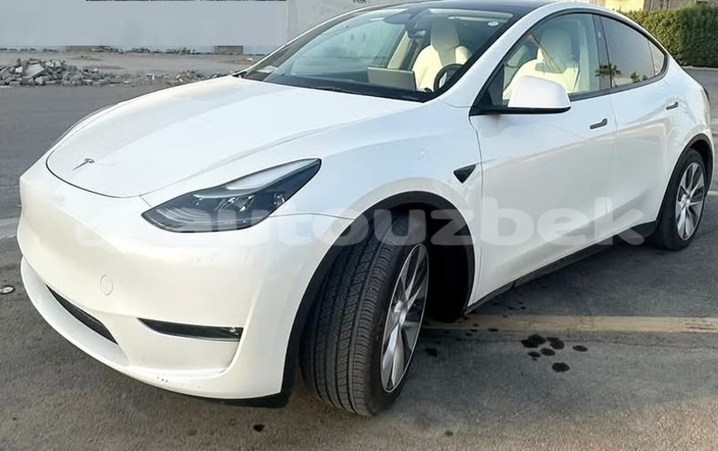 Big with watermark tesla model x kaskadar beskent 4872