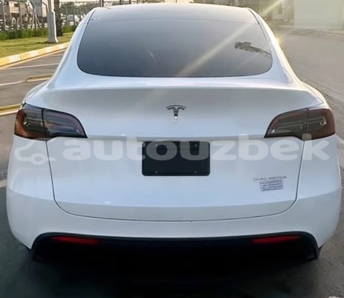 Big with watermark tesla model x kaskadar beskent 4872