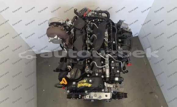 Buy HYUNDAI TUCSON KIA SPORTA in Buka in Toskent Buy HYUNDAI TUCSON KIA SPORTA in Buka in Toskent