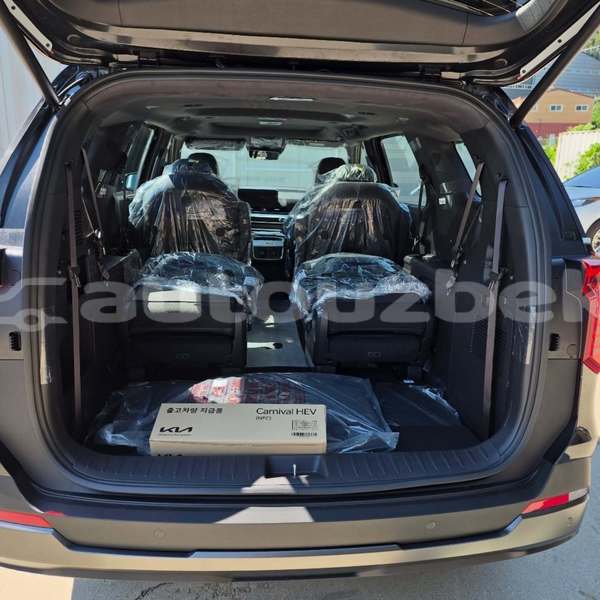 Big with watermark kia carnival surhondar akkurgon 4904