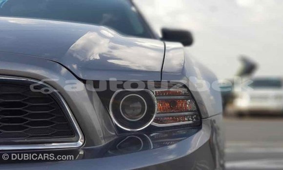 Buy Import Ford Mustang Other Car in Import - Dubai in Andijon Buy Import Ford Mustang Other Car in Import - Dubai in Andijon