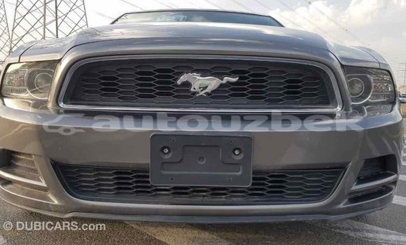 Buy Import Ford Mustang Other Car in Import - Dubai in Andijon Buy Import Ford Mustang Other Car in Import - Dubai in Andijon