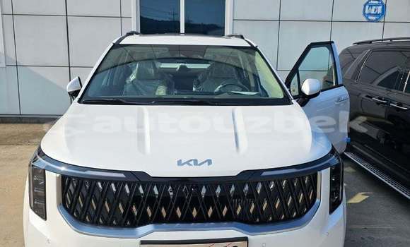 Buy Used Kia Carnival White Car in Almazar in Toskent Buy Used Kia Carnival White Car in Almazar in Toskent