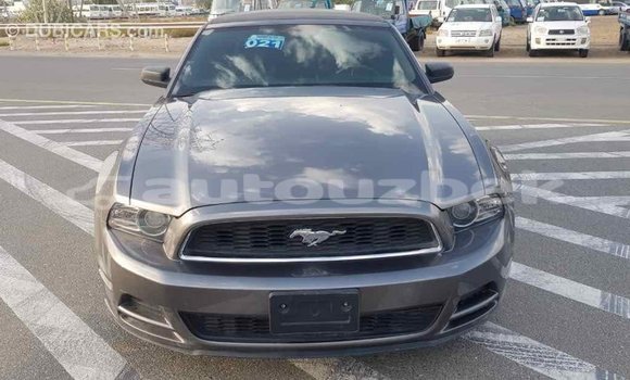 Buy Import Ford Mustang Other Car in Import - Dubai in Andijon Buy Import Ford Mustang Other Car in Import - Dubai in Andijon