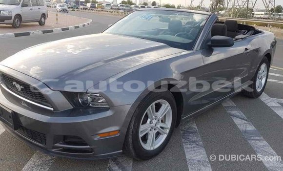 Buy Import Ford Mustang Other Car in Import - Dubai in Andijon Buy Import Ford Mustang Other Car in Import - Dubai in Andijon