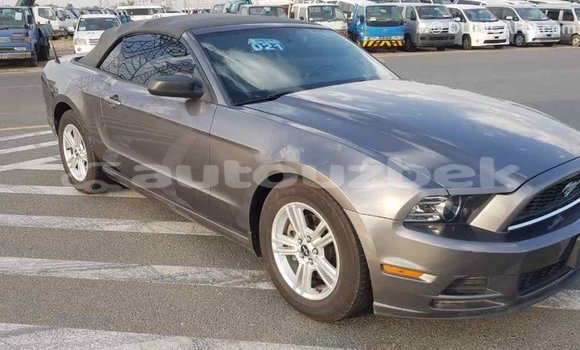 Buy Import Ford Mustang Other Car in Import - Dubai in Andijon Buy Import Ford Mustang Other Car in Import - Dubai in Andijon