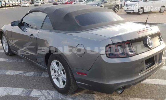 Buy Import Ford Mustang Other Car in Import - Dubai in Andijon Buy Import Ford Mustang Other Car in Import - Dubai in Andijon