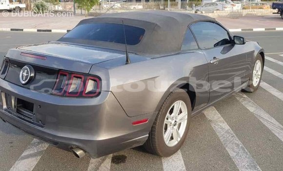 Buy Import Ford Mustang Other Car in Import - Dubai in Andijon Buy Import Ford Mustang Other Car in Import - Dubai in Andijon