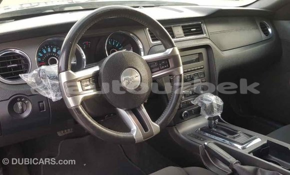 Buy Import Ford Mustang Other Car in Import - Dubai in Andijon Buy Import Ford Mustang Other Car in Import - Dubai in Andijon