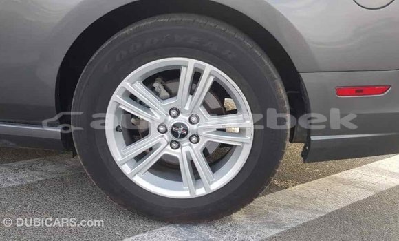 Buy Import Ford Mustang Other Car in Import - Dubai in Andijon Buy Import Ford Mustang Other Car in Import - Dubai in Andijon