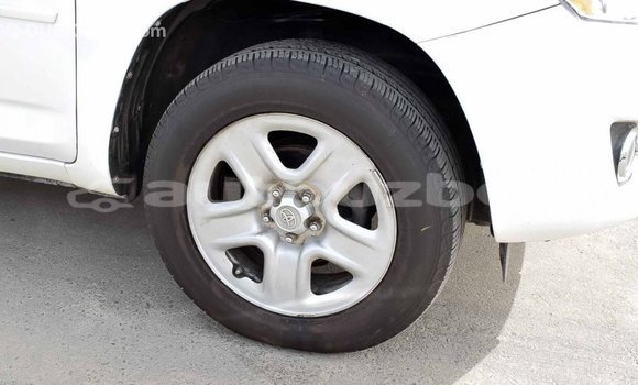 Medium with watermark 0652c029 9784 4a40 9ab6 b548ec8adfb8