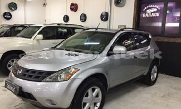 Buy Used Nissan Murano Silver Car in Tashkent in Toskent Buy Used Nissan Murano Silver Car in Tashkent in Toskent