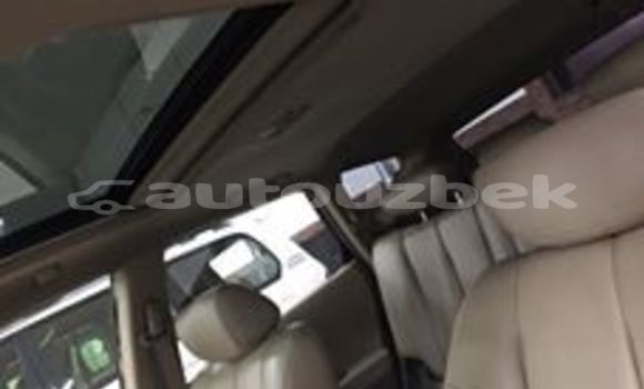 Buy Used Nissan Murano Silver Car in Tashkent in Toskent Buy Used Nissan Murano Silver Car in Tashkent in Toskent