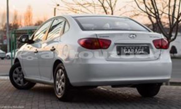 Buy Used Hyundai Elantra White Car in Tashkent in Toskent Buy Used Hyundai Elantra White Car in Tashkent in Toskent