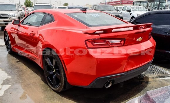 Buy Import Chevrolet Camaro Red Car in Import - Dubai in Andijon Buy Import Chevrolet Camaro Red Car in Import - Dubai in Andijon