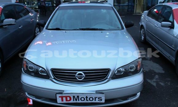 Buy Used Nissan Maxima Silver Car in Tashkent in Toskent
