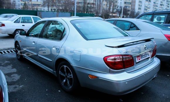 Buy Used Nissan Maxima Silver Car in Tashkent in Toskent Buy Used Nissan Maxima Silver Car in Tashkent in Toskent