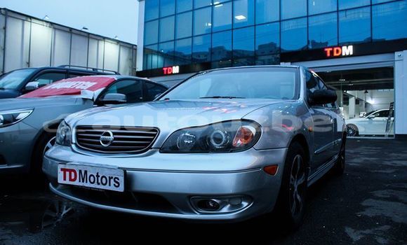Buy Used Nissan Maxima Silver Car in Tashkent in Toskent Buy Used Nissan Maxima Silver Car in Tashkent in Toskent
