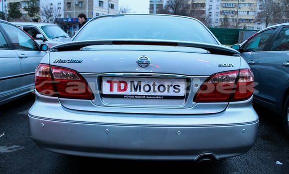 Buy Used Nissan Maxima Silver Car in Tashkent in Toskent Buy Used Nissan Maxima Silver Car in Tashkent in Toskent