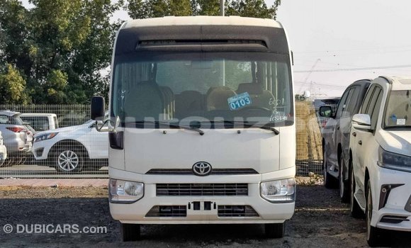 Buy Import Toyota Coaster White Car in Import - Dubai in Andijon Buy Import Toyota Coaster White Car in Import - Dubai in Andijon