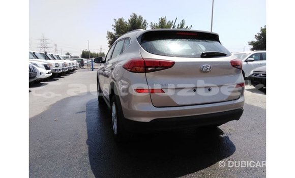 Buy Import Kia Sportage Black Car in Import - Dubai in Andijon Buy Import Kia Sportage Black Car in Import - Dubai in Andijon