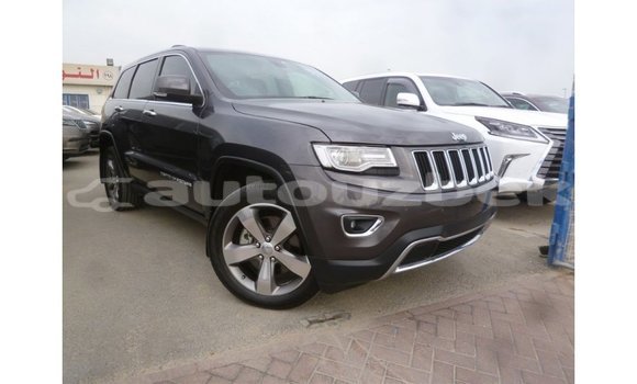 Buy Import Jeep Grand Cherokee Other Car in Import - Dubai in Andijon
