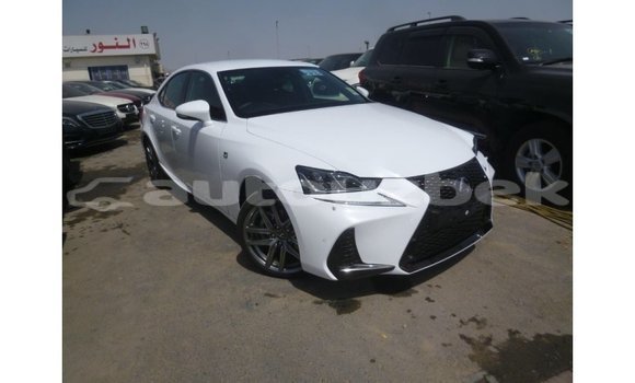Buy Import Lexus IS White Car in Import - Dubai in Andijon Buy Import Lexus IS White Car in Import - Dubai in Andijon