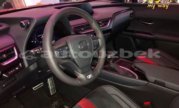 Buy New Lexus UX Red Car in Tashkent in Toskent Buy New Lexus UX Red Car in Tashkent in Toskent