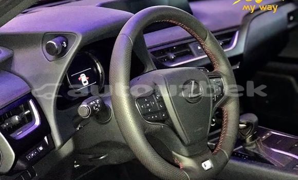 Buy New Lexus UX Red Car in Tashkent in Toskent Buy New Lexus UX Red Car in Tashkent in Toskent