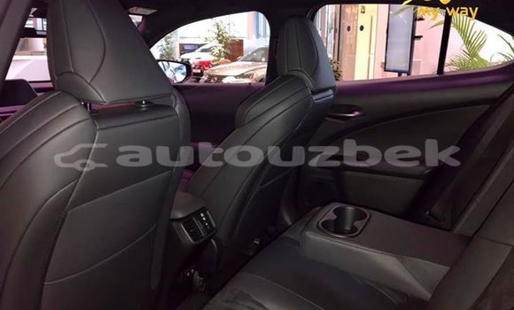 Buy New Lexus UX Red Car in Tashkent in Toskent Buy New Lexus UX Red Car in Tashkent in Toskent