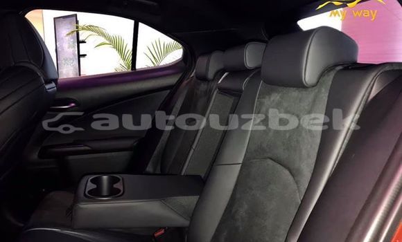 Buy New Lexus UX Red Car in Tashkent in Toskent Buy New Lexus UX Red Car in Tashkent in Toskent