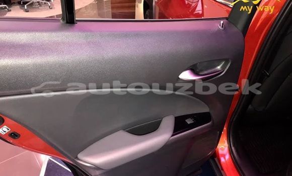 Buy New Lexus UX Red Car in Tashkent in Toskent Buy New Lexus UX Red Car in Tashkent in Toskent