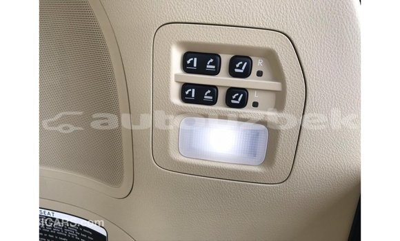 Buy Import Lexus LX Other Car in Import - Dubai in Andijon Buy Import Lexus LX Other Car in Import - Dubai in Andijon