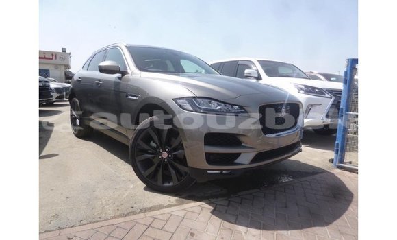 Buy Import Jaguar F-Pace Other Car in Import - Dubai in Andijon