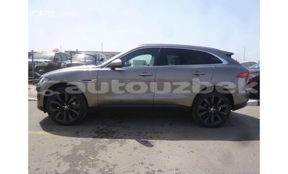 Buy Import Jaguar F-Pace Other Car in Import - Dubai in Andijon Buy Import Jaguar F-Pace Other Car in Import - Dubai in Andijon