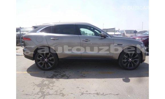 Buy Import Jaguar F-Pace Other Car in Import - Dubai in Andijon Buy Import Jaguar F-Pace Other Car in Import - Dubai in Andijon