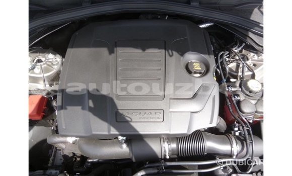 Buy Import Jaguar F-Pace Other Car in Import - Dubai in Andijon Buy Import Jaguar F-Pace Other Car in Import - Dubai in Andijon