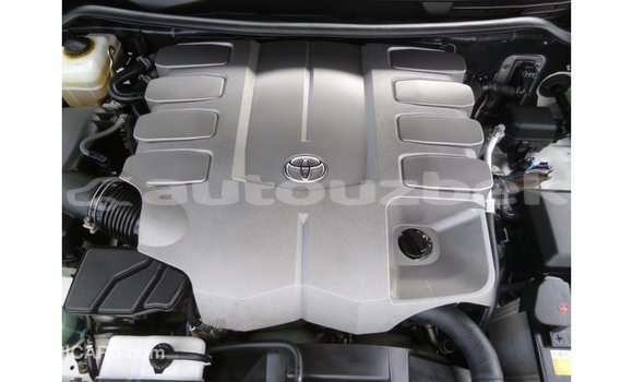 Buy Import Toyota Land Cruiser White Car in Import - Dubai in Andijon Buy Import Toyota Land Cruiser White Car in Import - Dubai in Andijon